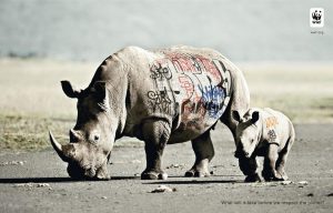 banner ad design wwf 